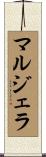 マルジェラ Scroll