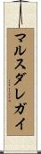 マルスダレガイ Scroll