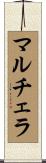 マルチェラ Scroll