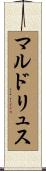 マルドリュス Scroll
