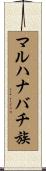 マルハナバチ族 Scroll
