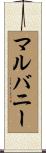 Mulvaney Scroll