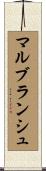 マルブランシュ Scroll