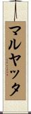 マルヤッタ Scroll
