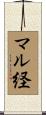 マル経 Scroll