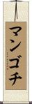 マンゴチ Scroll