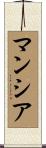 Mancia Scroll