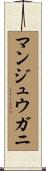 マンジュウガニ Scroll