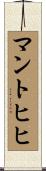 マントヒヒ Scroll
