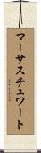 マーサスチュワート Scroll