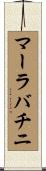 マーラバチニ Scroll