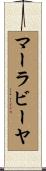 マーラビーヤ Scroll