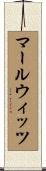 マールウィッツ Scroll