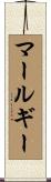 マールギー Scroll