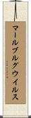 マールブルグ・ウイルス Scroll