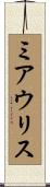 ミアウリス Scroll