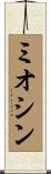 ミオシン Scroll