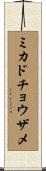 ミカドチョウザメ Scroll
