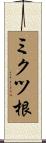 ミクツ根 Scroll