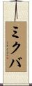 ミクバ Scroll