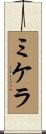 Mikela Scroll