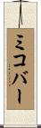 ミコバー Scroll