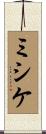 ミシケ Scroll