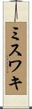 ミスワキ Scroll