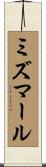 ミズマール Scroll