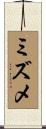 ミズメ Scroll
