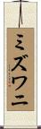 ミズワニ Scroll