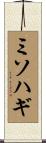ミソハギ Scroll