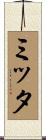 ミッタ Scroll