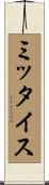 ミッタイス Scroll