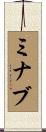 ミナブ Scroll