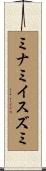 ミナミイスズミ Scroll