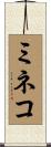 ミネコ Scroll