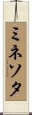 ミネソタ Scroll
