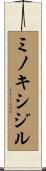 ミノキシジル Scroll