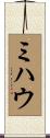 ミハウ Scroll