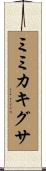 ミミカキグサ Scroll