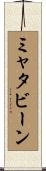 ミャタビーン Scroll