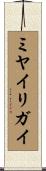 ミヤイリガイ Scroll