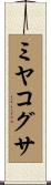 ミヤコグサ Scroll