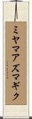ミヤマアズマギク Scroll