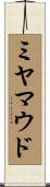 ミヤマウド Scroll