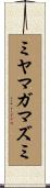 ミヤマガマズミ Scroll
