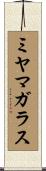 ミヤマガラス Scroll