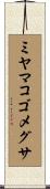 ミヤマコゴメグサ Scroll