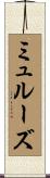ミュルーズ Scroll